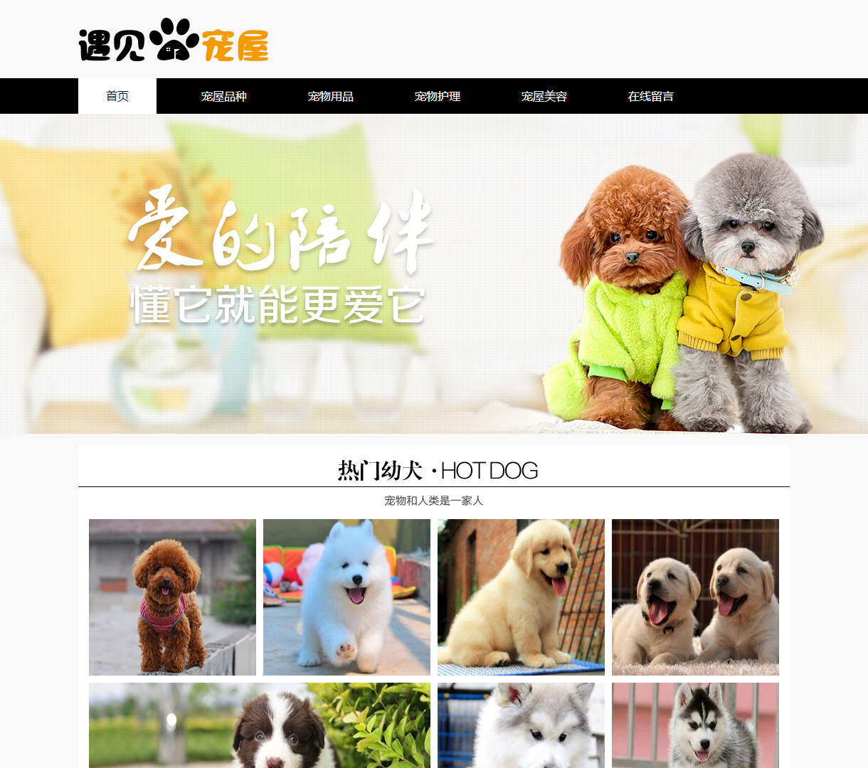 宠物主题介绍与在线互动平台 - 养宠物知识共享与用品推荐