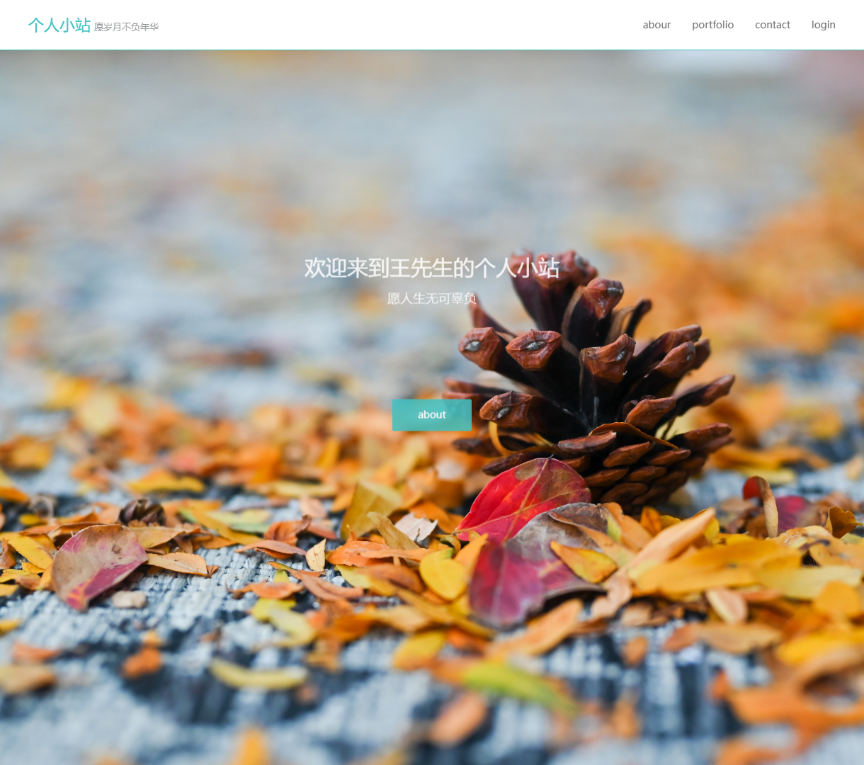 欢迎访问王先生的个人小站 - 个性化展示与流畅的交互体验