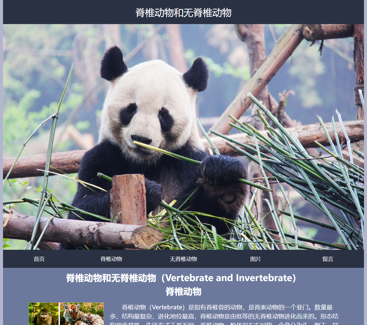 脊椎动物和无脊椎动物知识普及页面 - 学习生物的基础与差异