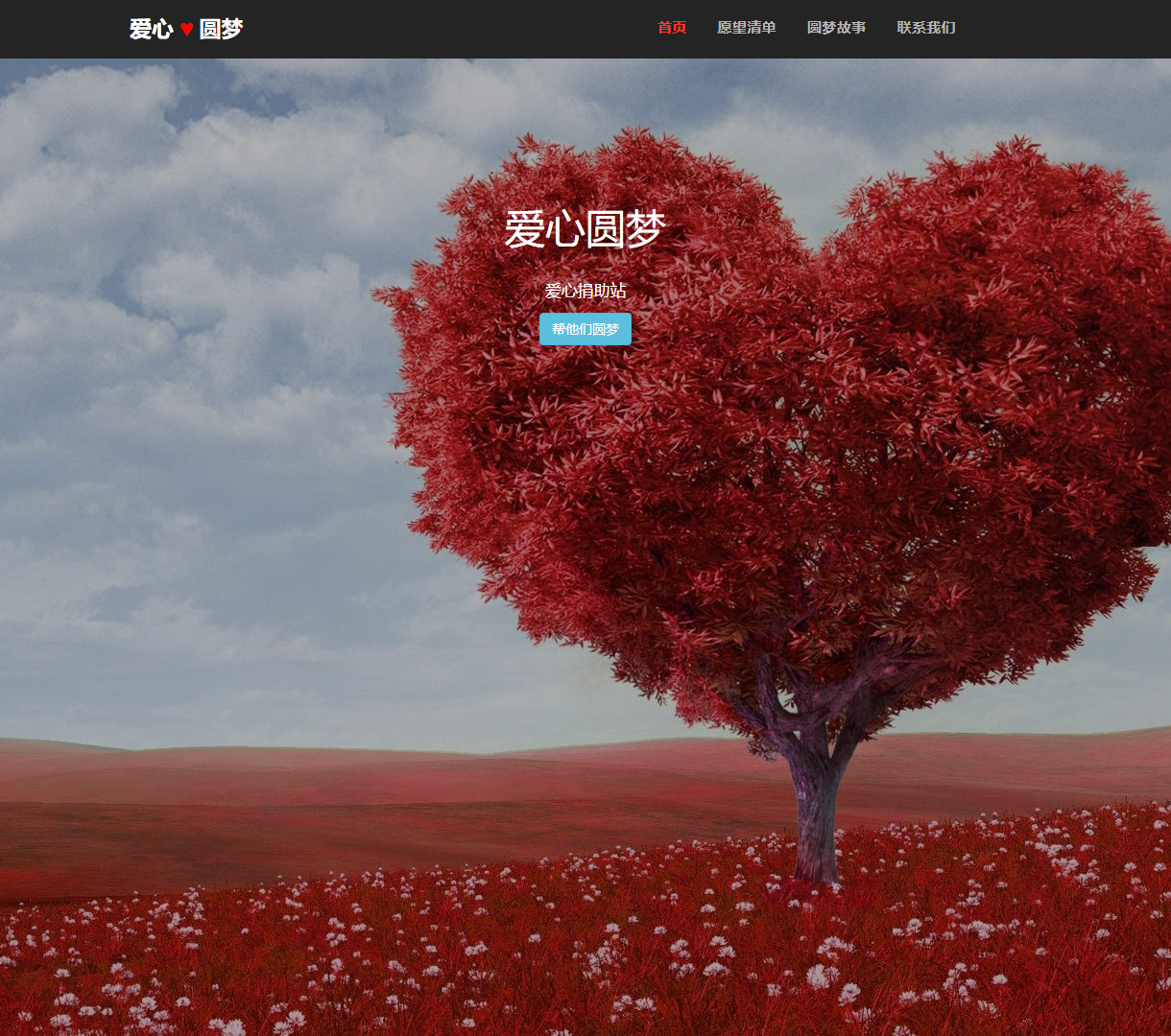 爱心圆梦 - 支持实现愿望的现代化捐助平台