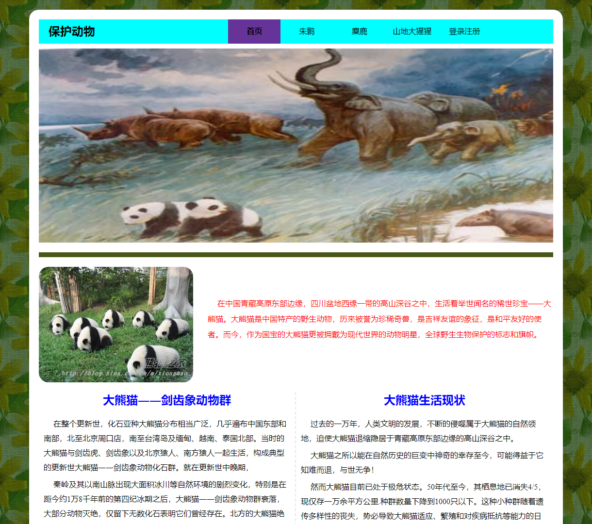 保护动物网站首页 - 大熊猫生活现状及保护意识展现