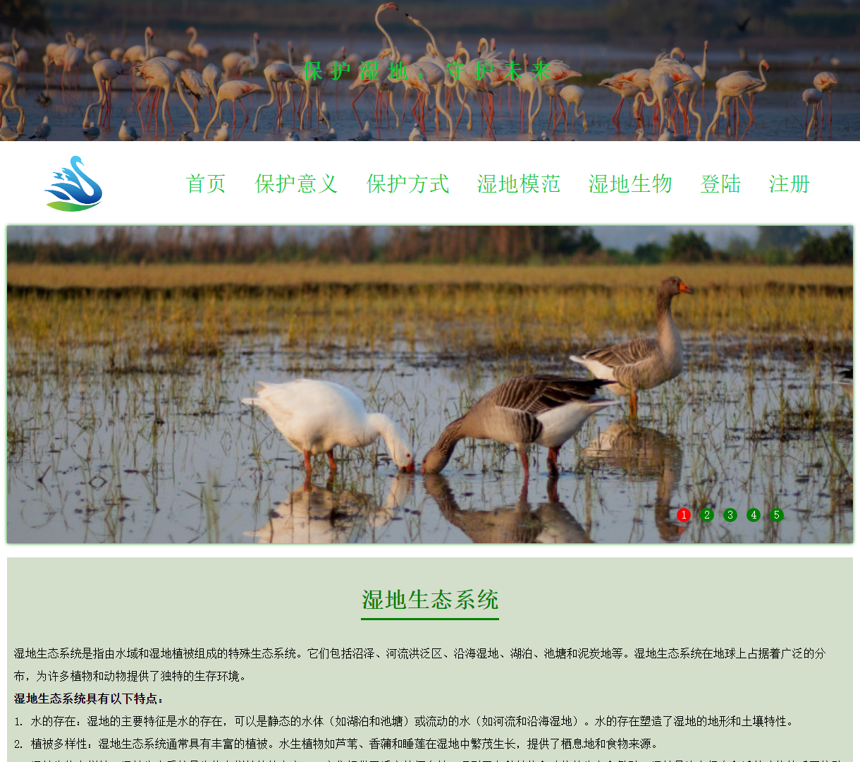 保护湿地人人有责 | 传播湿地生态保护知识，促进可持续发展