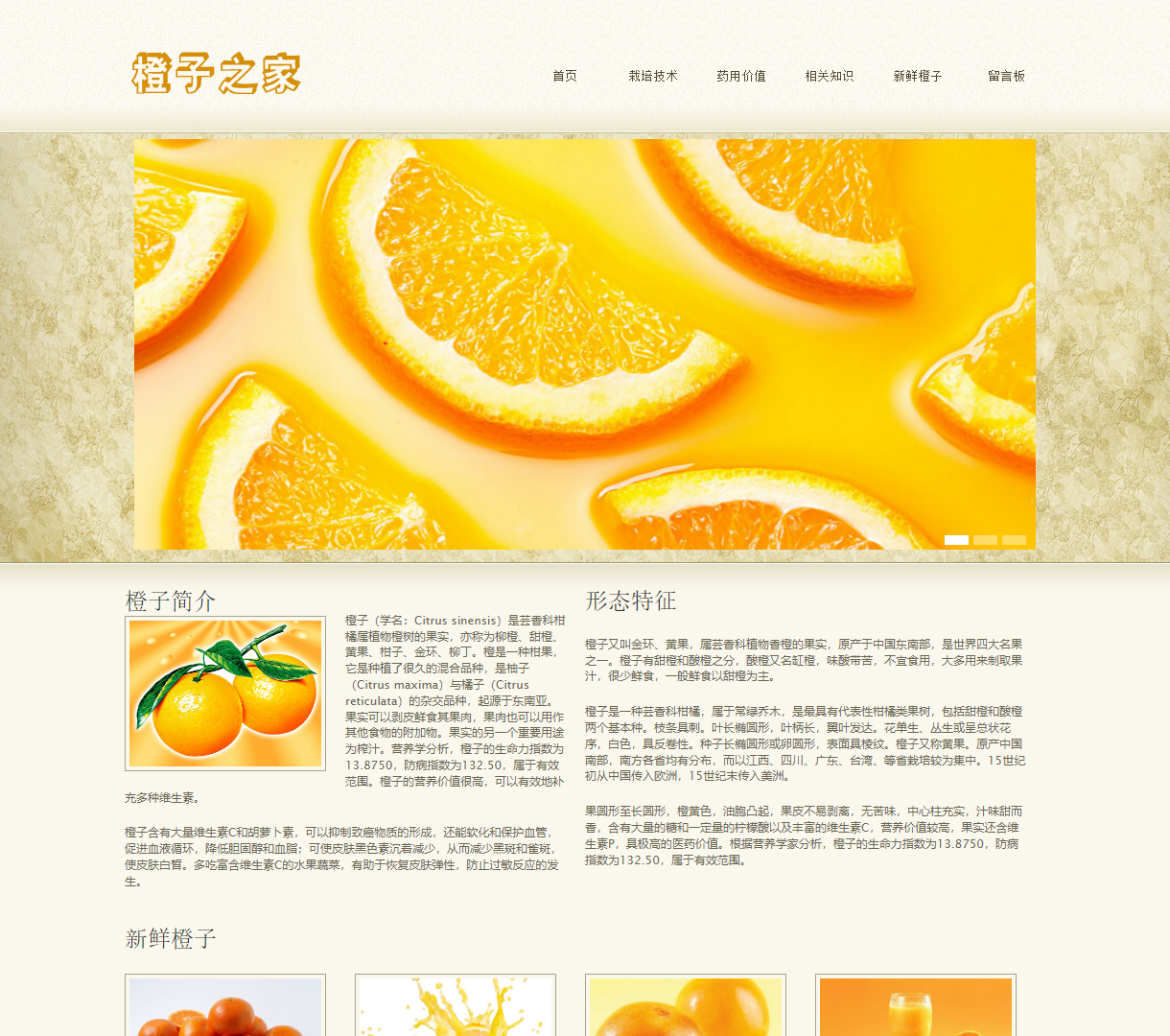 探索多汁橙子之家：栽培技巧、药用价值、与新鲜橙子的视觉盛宴